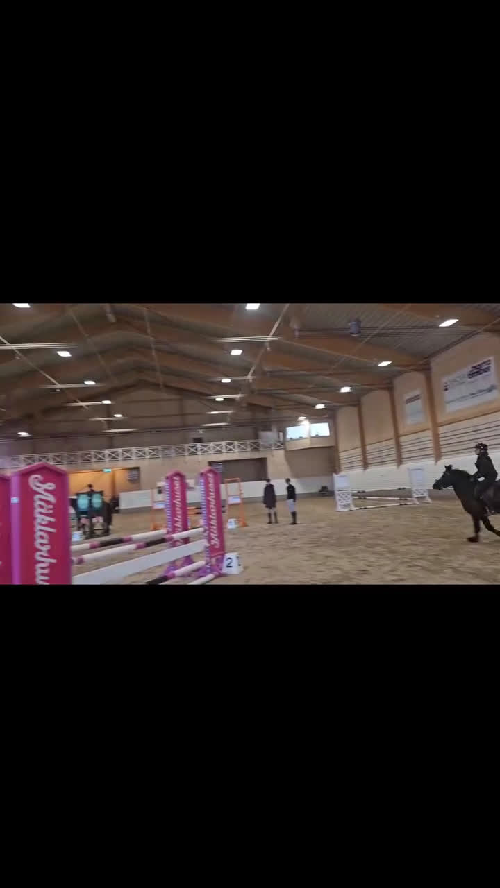 Hoppning hästar till salu: Häftig B-ponny  i Edsele - Video 1