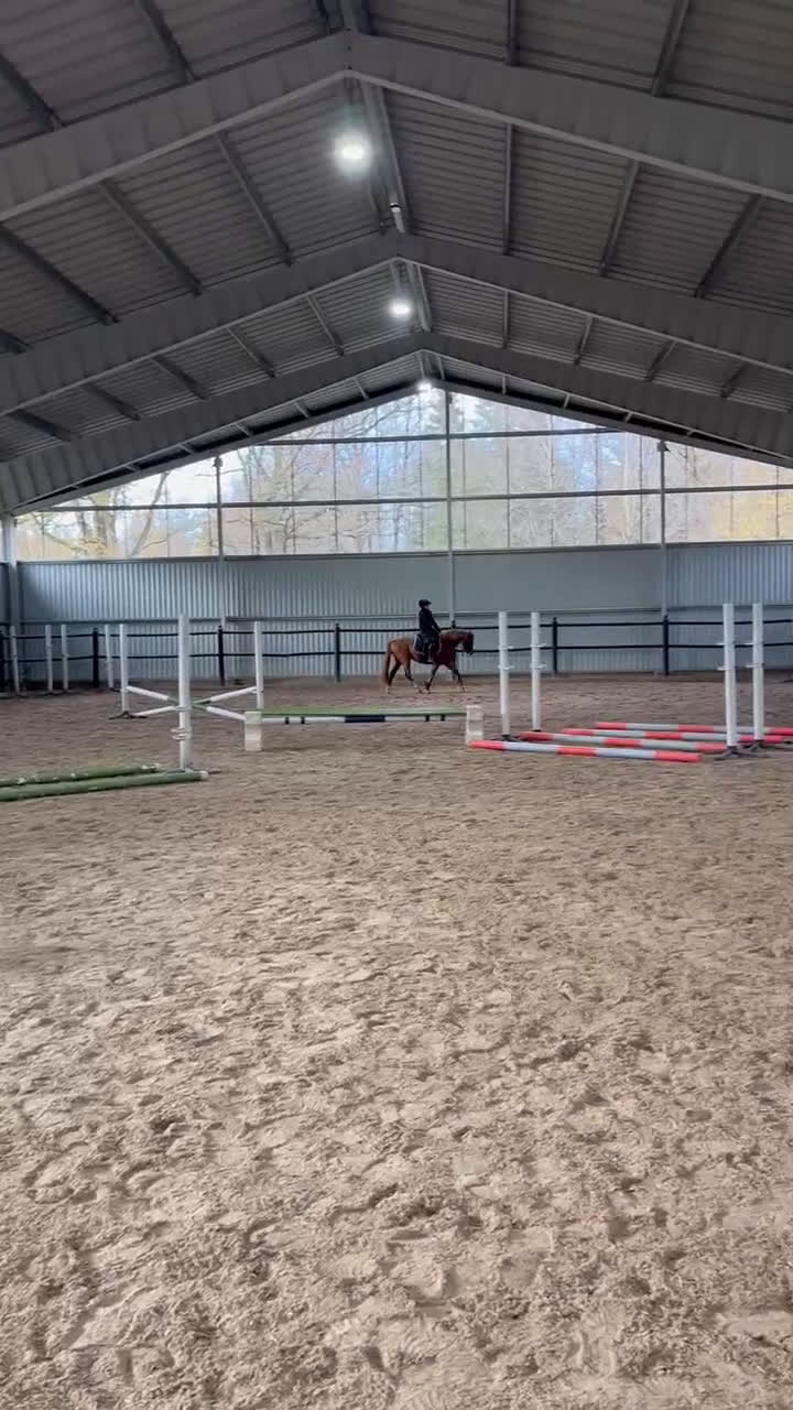 Hoppning hästar till salu: För dig som satsar på ungponny Sm 2026 i Broaryd - Video 1