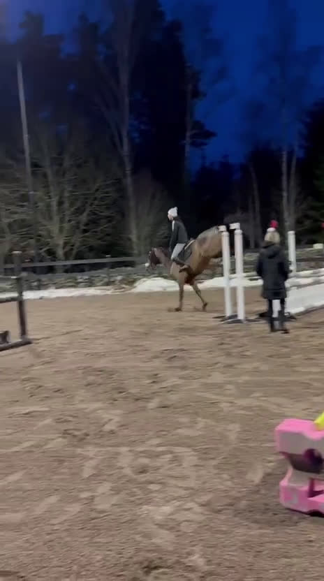 Hoppning hästar till salu: Toppstammat prestationssto med tävlingsmeriter i Linköping - Video 2