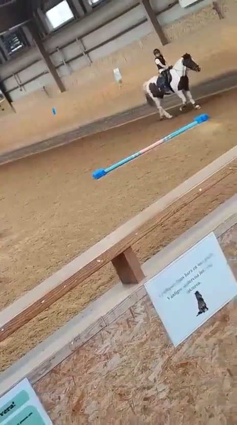  medryttarhäst sökes: Söker medryttarhäst söder om Uppsala i Uppsala - Video 2