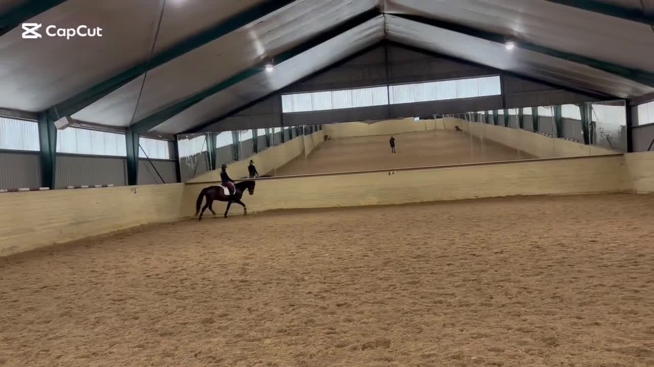 Dressyr hästar till salu: Bästa vän till träning eller tävling  i Kode - Video 1