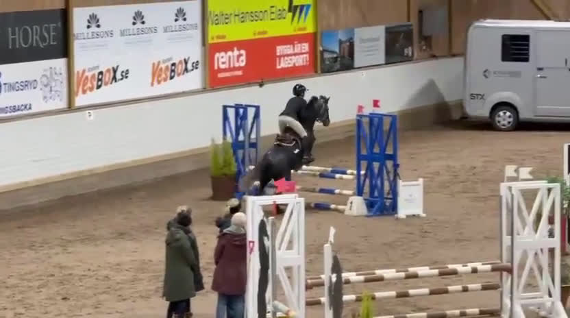 Hoppning hästar till salu: C-ponny med stort hopp och hög ridbarhet i Kungsbacka - Video 1