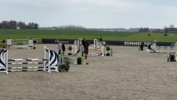 Hoppning hästar till salu: Smuk og talentfuld skimmel - Video 1