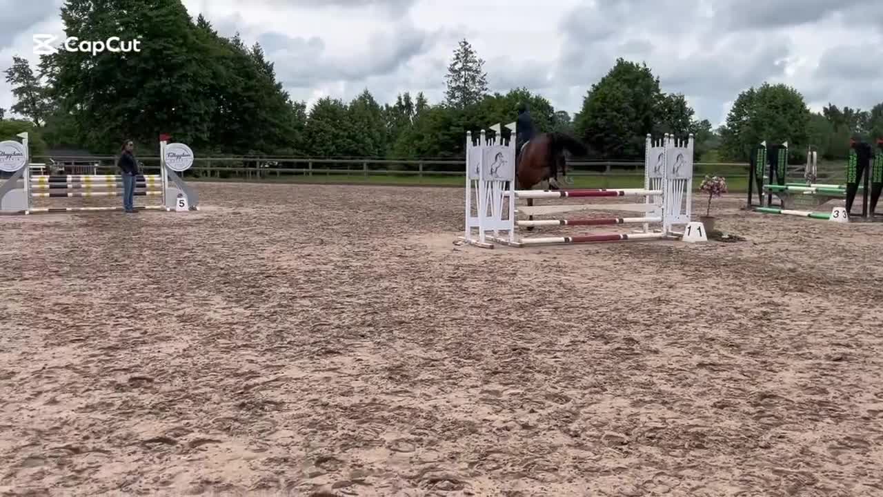 Hoppning hästar till salu: Snygg valack  i Falköping - Video 2