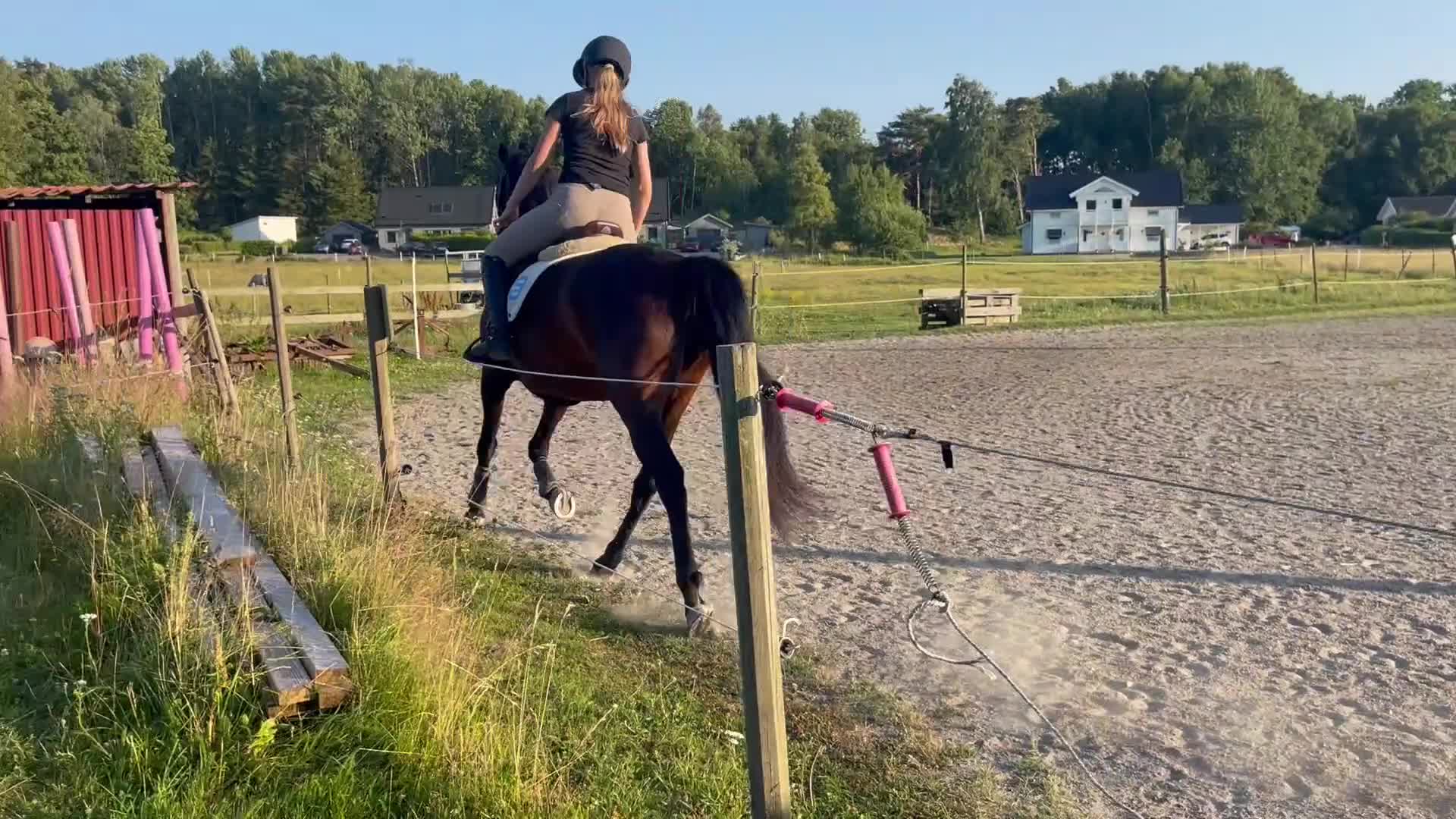 Allround hästar till salu: Ponny som syns i mängden - Video 1
