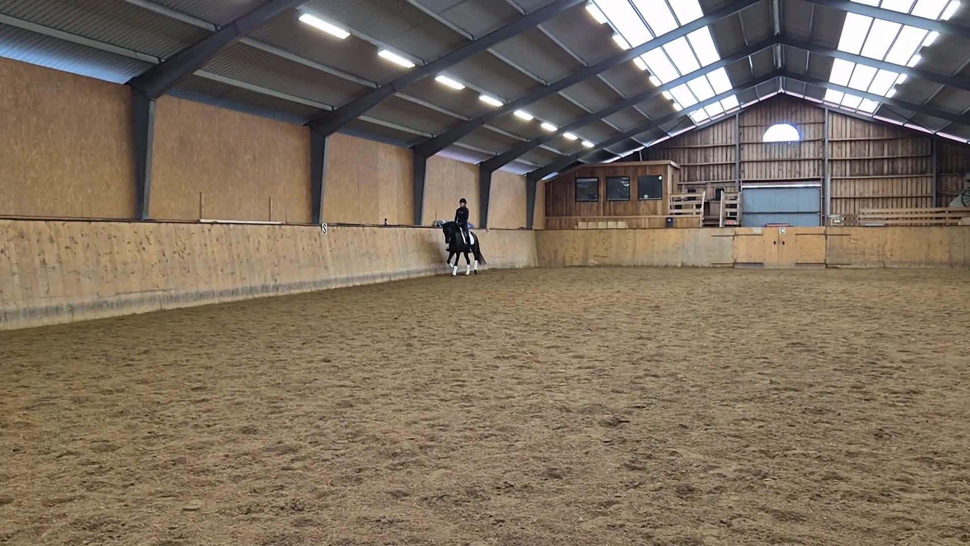 Dressyr hästar till salu: Gångartstalang 4-årigt diplomsto i Össjö - Video 2