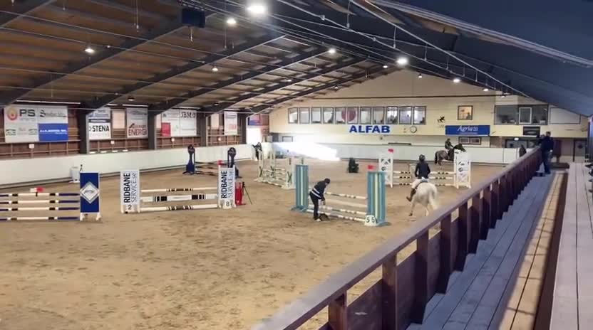 Hoppning hästar till salu: Talangfull sporthäst (e. Million Dollar) - Video 2
