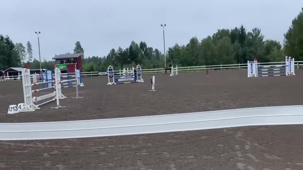 Hoppning hästar till salu: Trevlig läromästare - Video 2