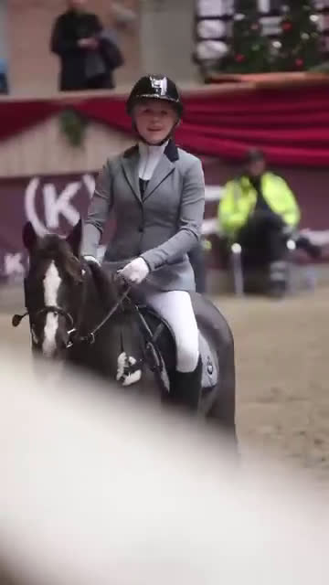 Allround hästar till salu: Den bedste første gangs pony  - Video 2