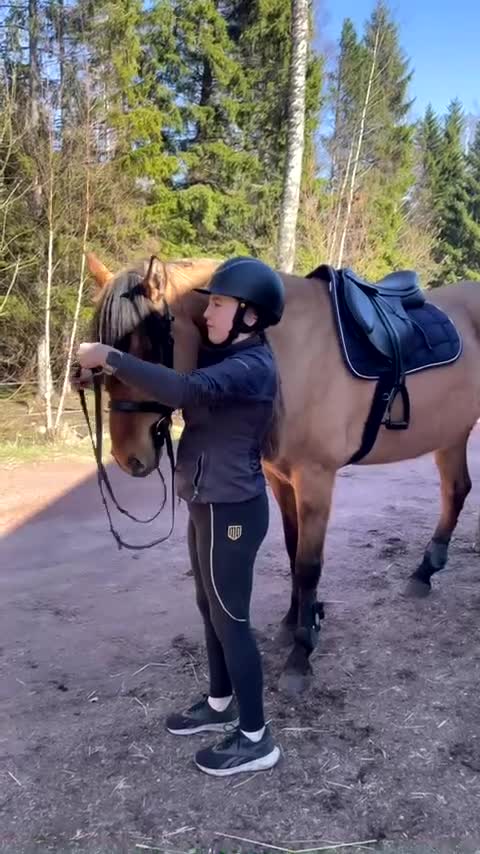 Allround hästar till salu: Triton söker sitt för alltid hem  - Video 4