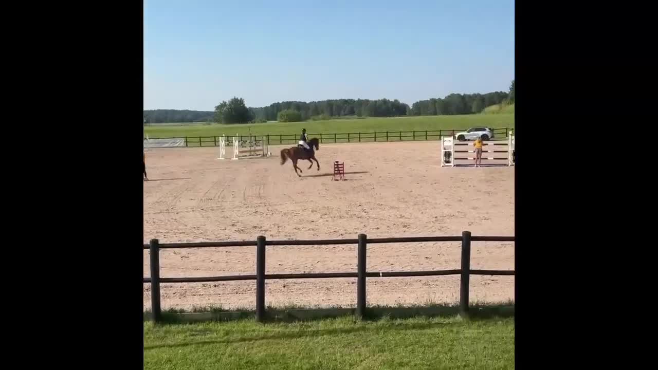 Hoppning hästar till salu: Sportig SWB valack  - Video 1