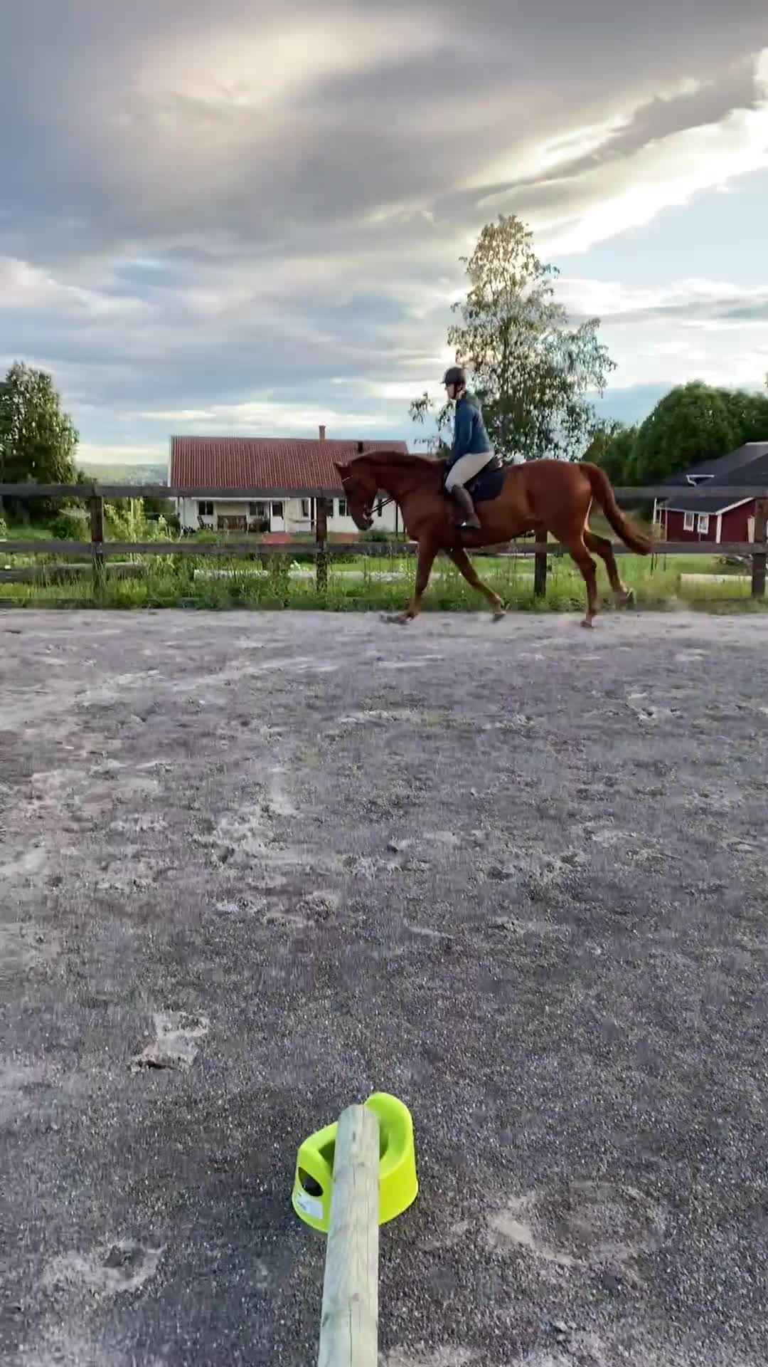 Allround hästar till salu: Vackra Wictor! - Video 1