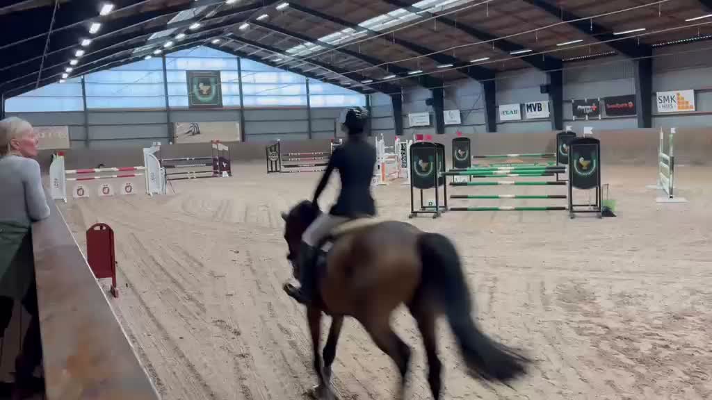 Hoppning hästar till salu: Snygg och trevlig 8åring valack  i Mörarp - Video 2