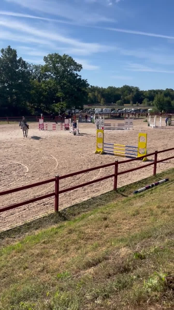 Allround hästar till salu: Erfaren läromästare i Kalmar - Video 1