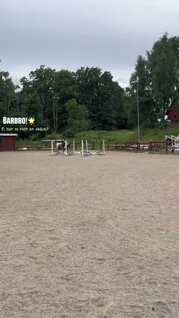Allround hästar sökes: Medryttar ponny sökes! i Hägersten - Video 2