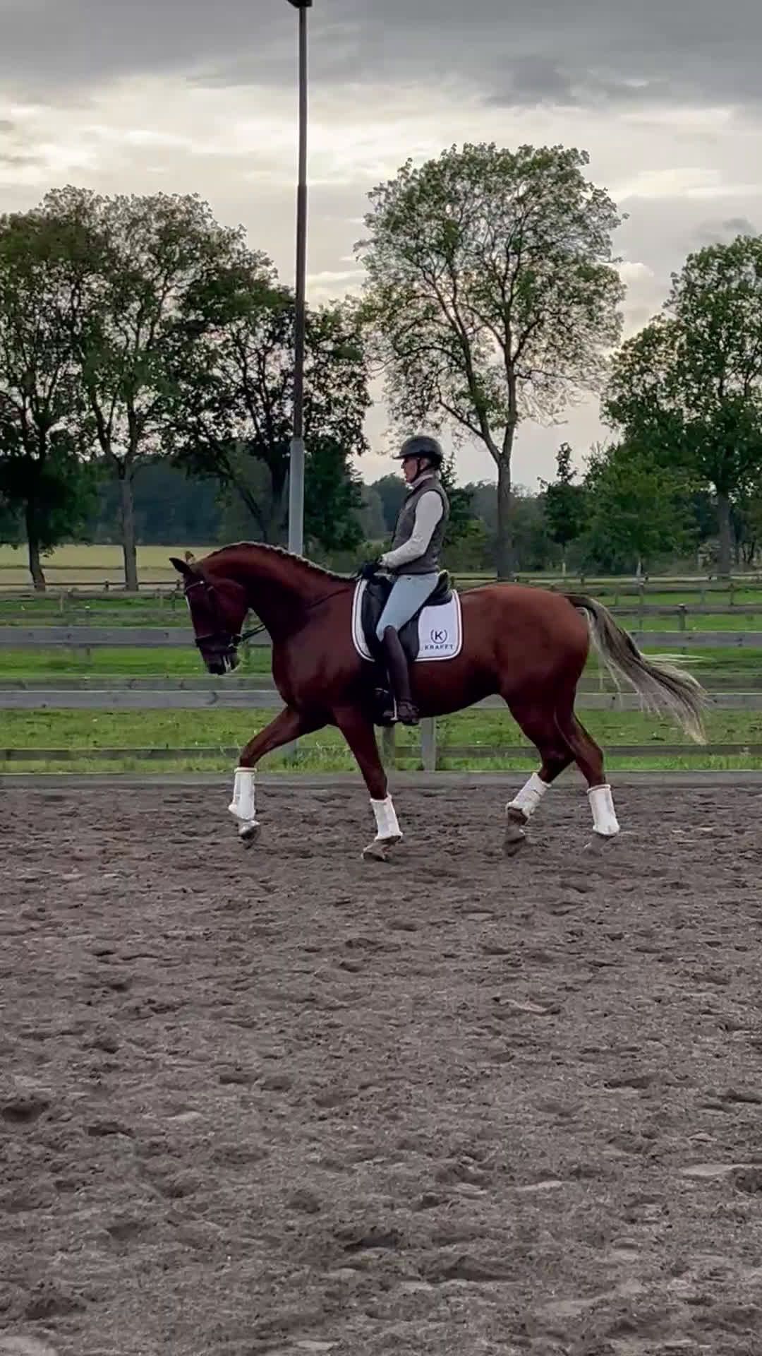 Dressyr hästar till salu: Unghäst med underbart temperament  i Rimbo - Video 1