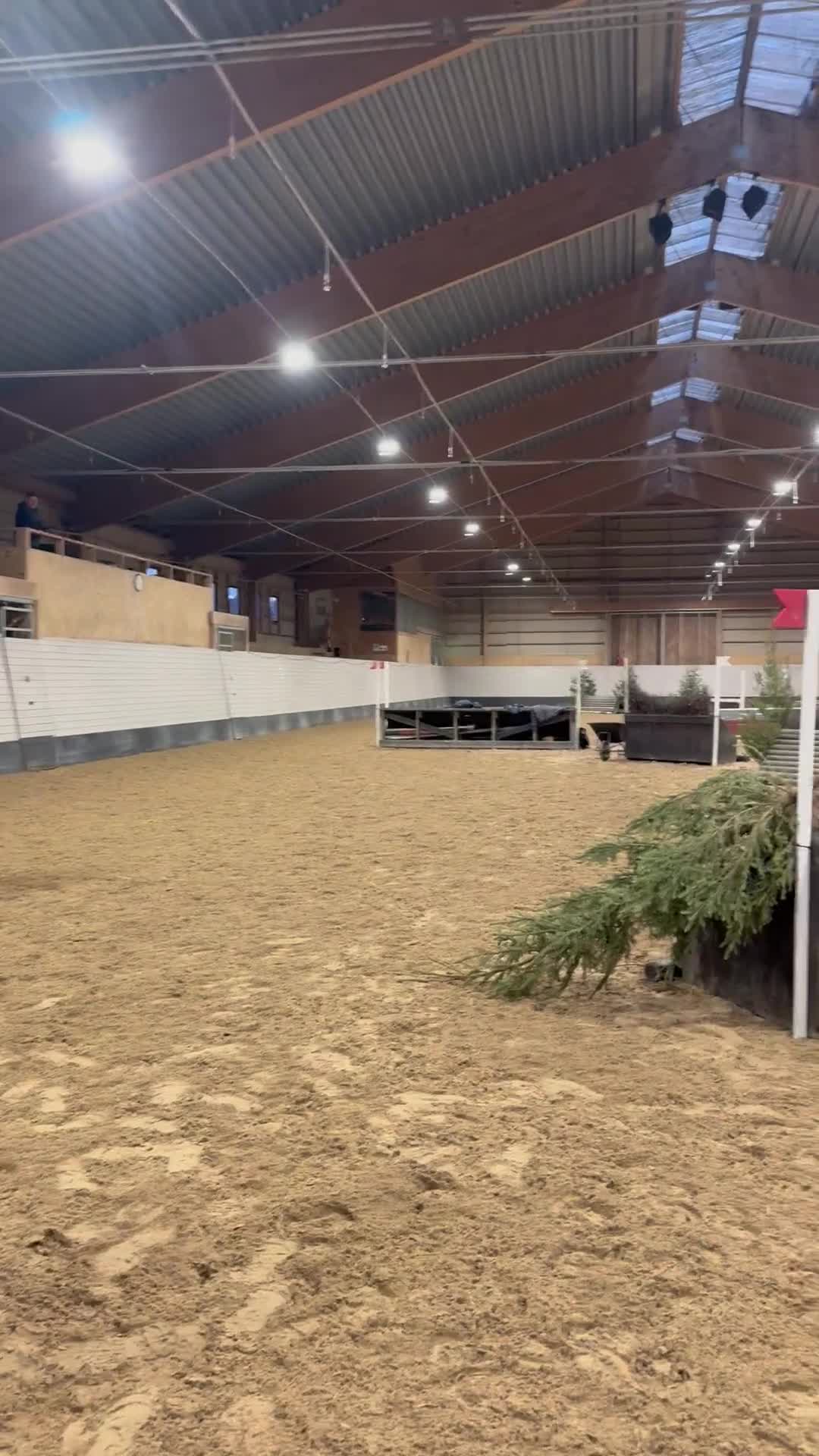  medryttarhäst finnes: Medryttare sökes till två fantastiska ponnyer🩷 - Video 1