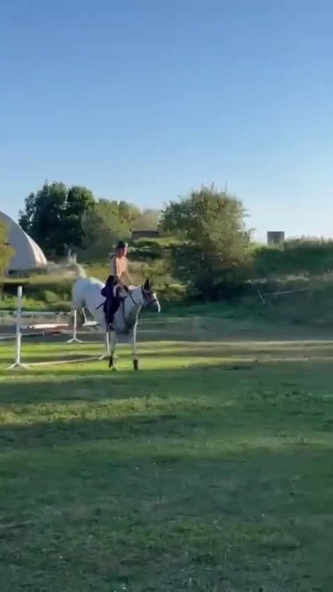 Allround hästar till salu: Super fin allround häst  i Västerås - Video 3