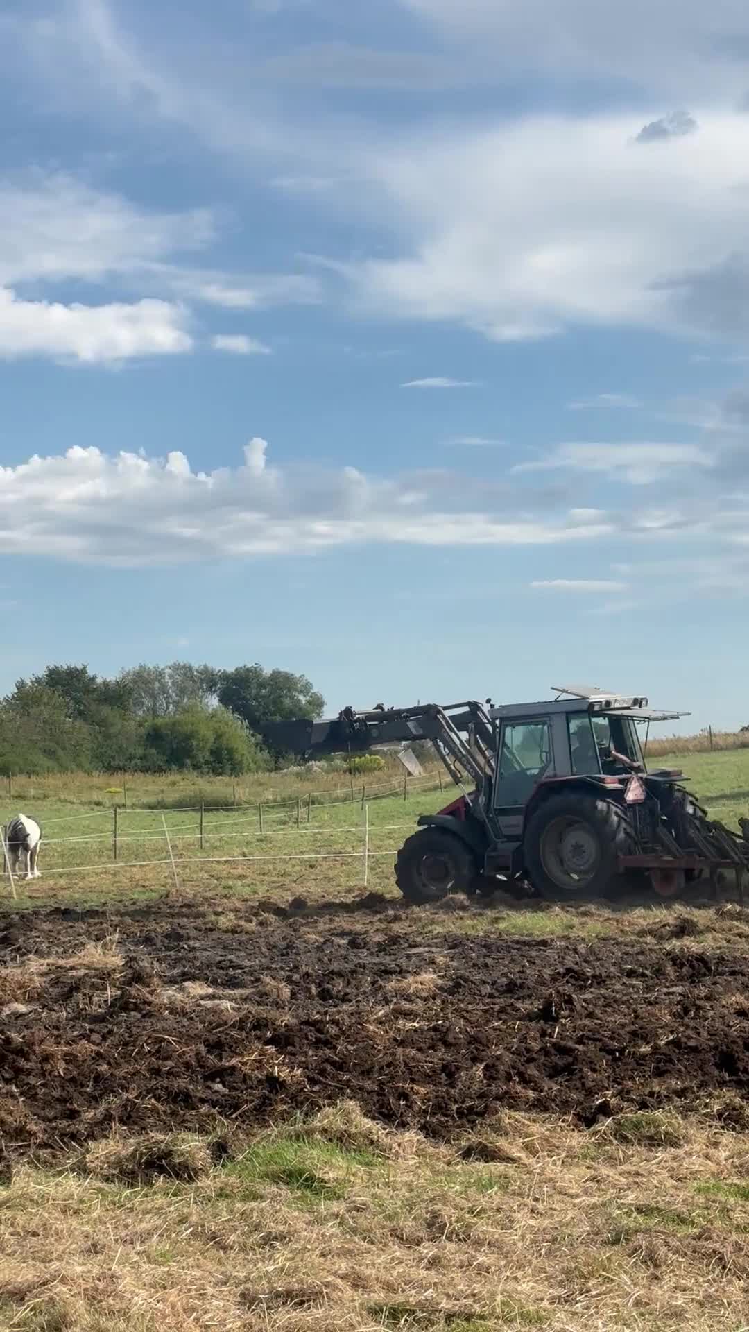 Allround hästar till salu: Trevligt irish cob till Avel/hobbyridning - Video 1