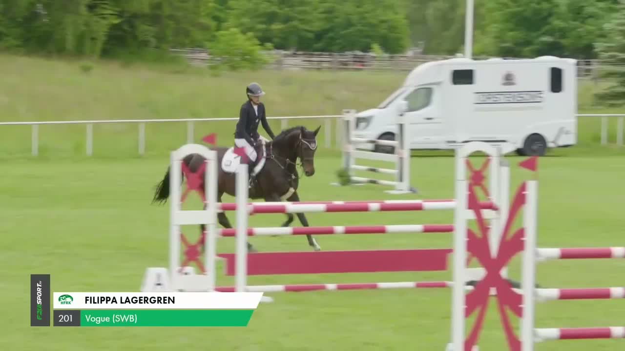 Hoppning hästar till salu: Fråck Children/Juniorhäst. - Video 2