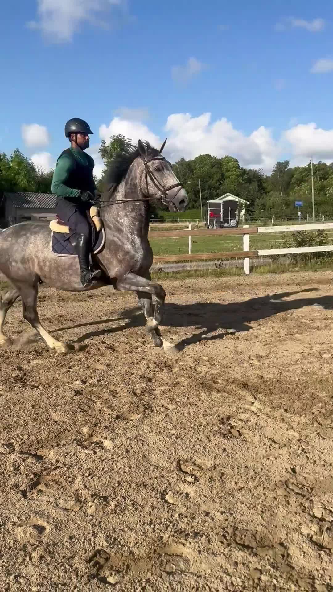 Allround hästar till salu: Häftig valack säljes 🌟  - Video 2