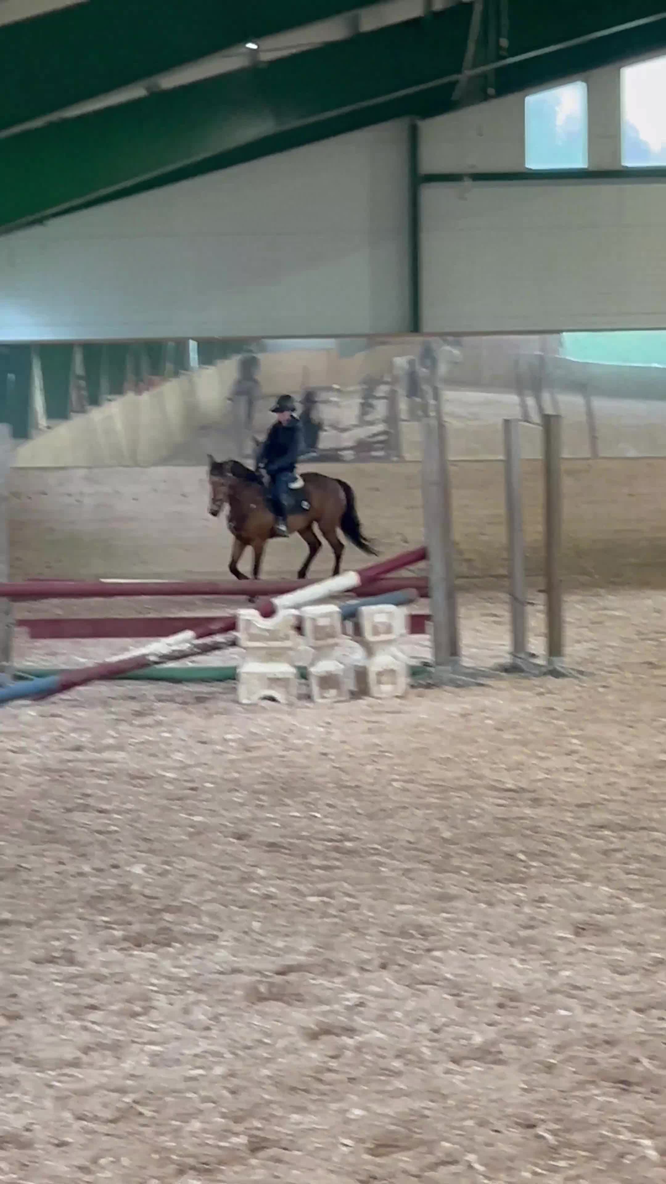 Hoppning hästar till salu: 🇮🇪 Hopponny med tryck 🇮🇪 - Video 4