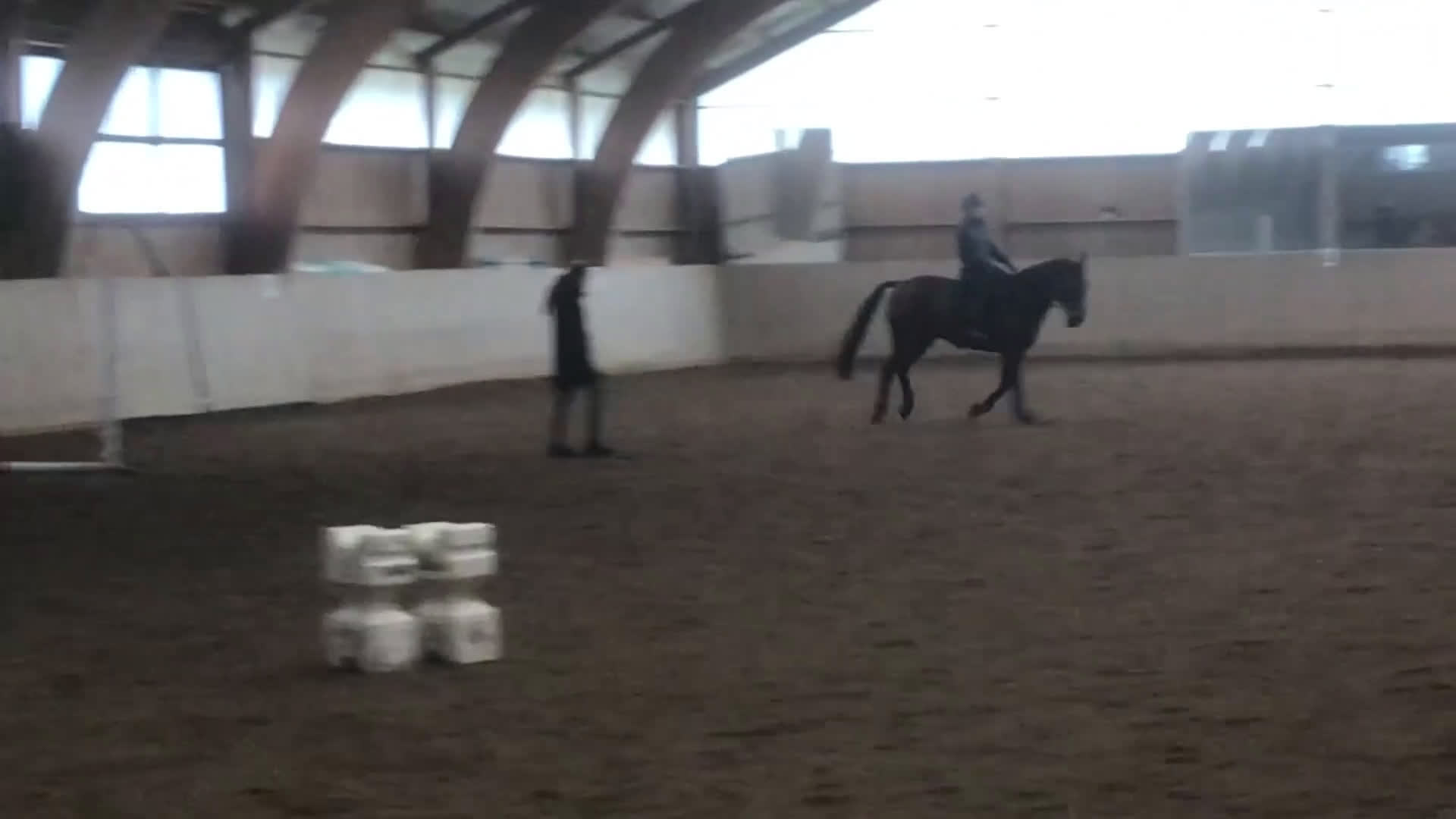 Allround hästar till salu: En go häst att göra lite av varje med i Vallentuna - Video 2