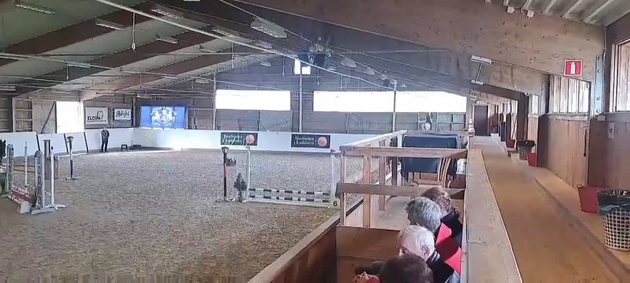 Allround hästar till salu: Ponny för den som vill tävla eller ha en bästa vän i Haverdal - Video 1