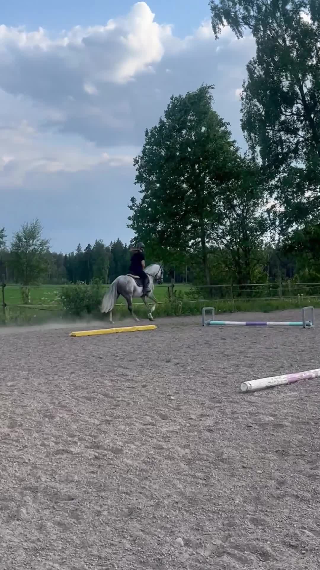 Allround hästar till salu: Fin allround ponny - Video 1