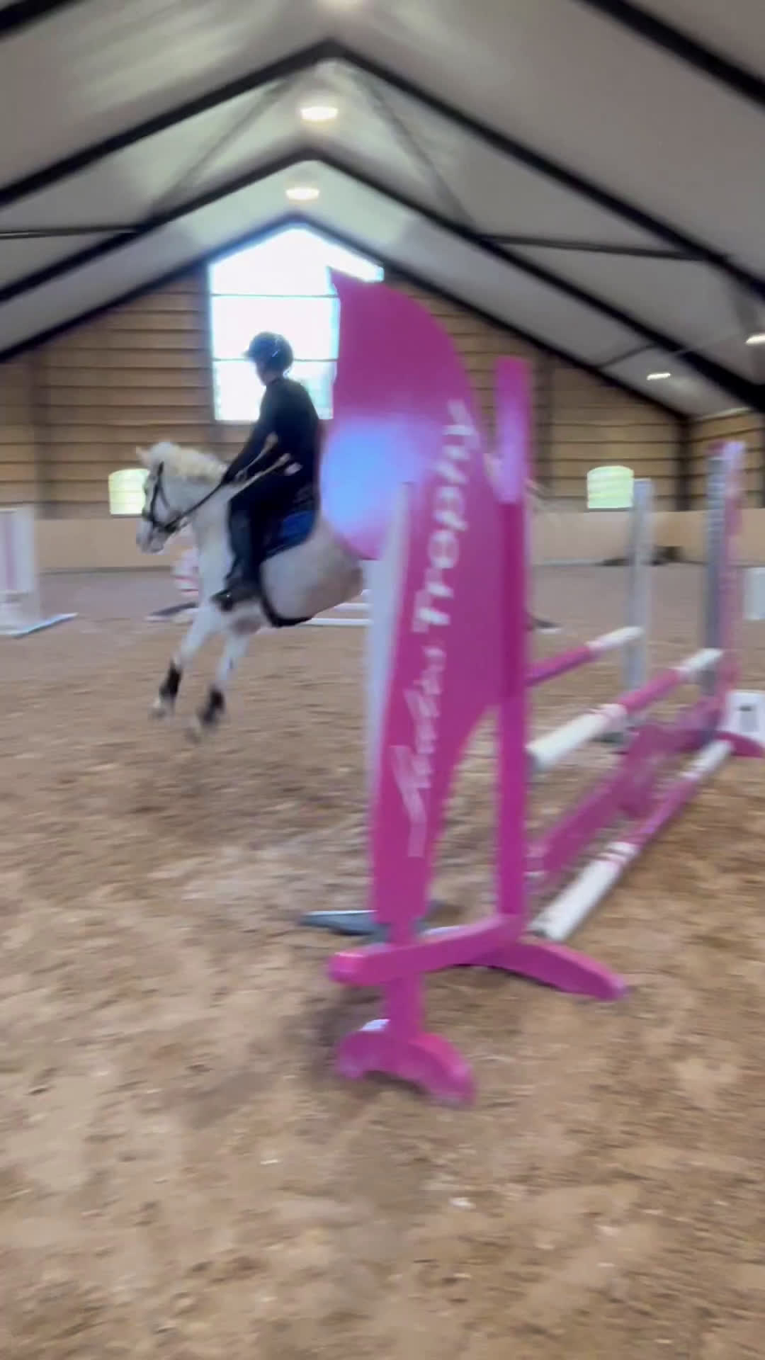 Hoppning hästar till salu: C-ponny ⭐️ i Bollebygd - Video 2