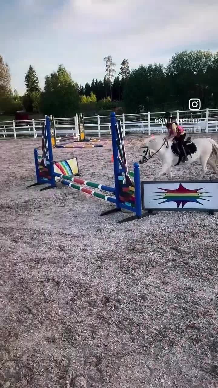 Allround hästar till salu: Sockersöt B-ponny - Video 2