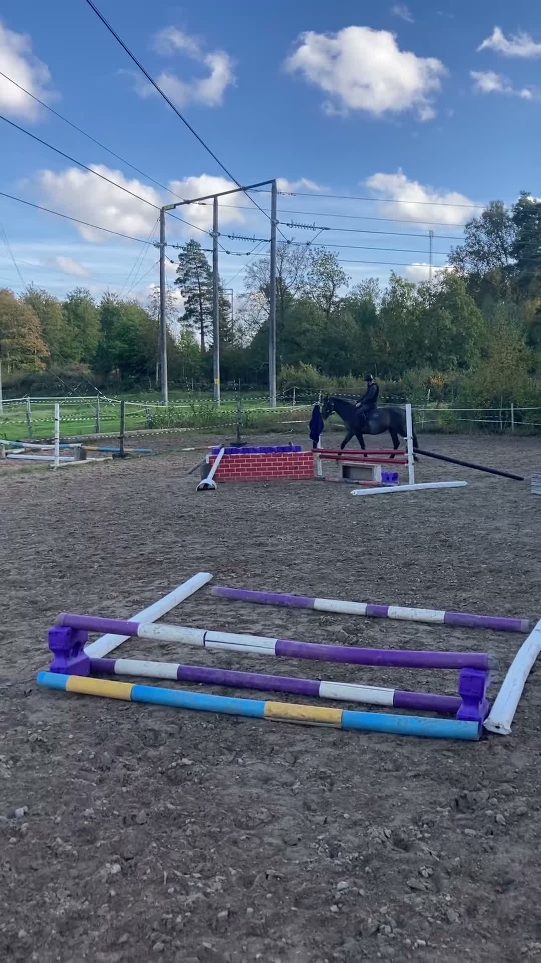 Hoppning hästar till salu: Inriden 2,5 årsvalack - Video 1