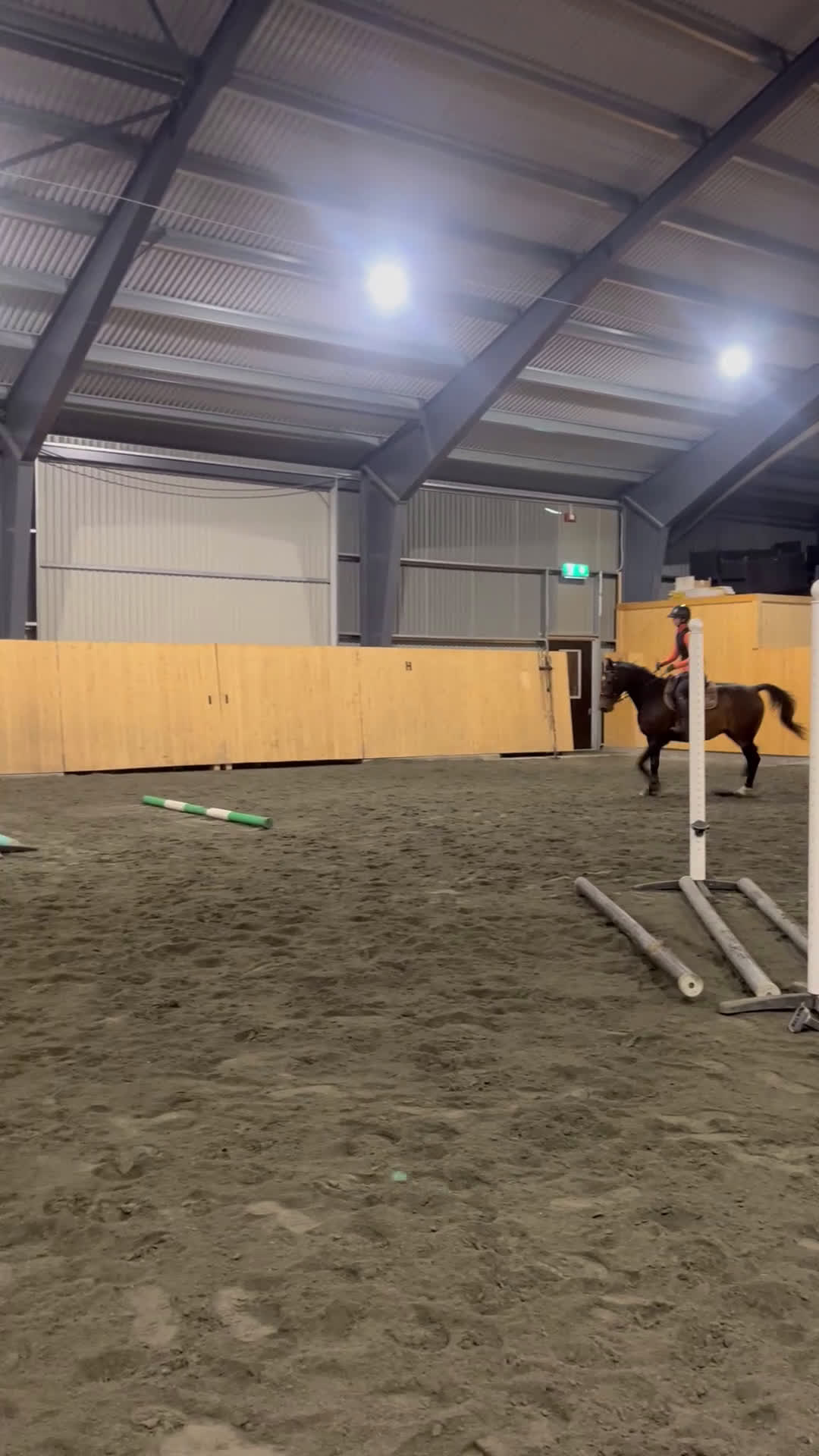 Hoppning hästar till salu: Arbetsglad liten storhäst med humor - Video 1