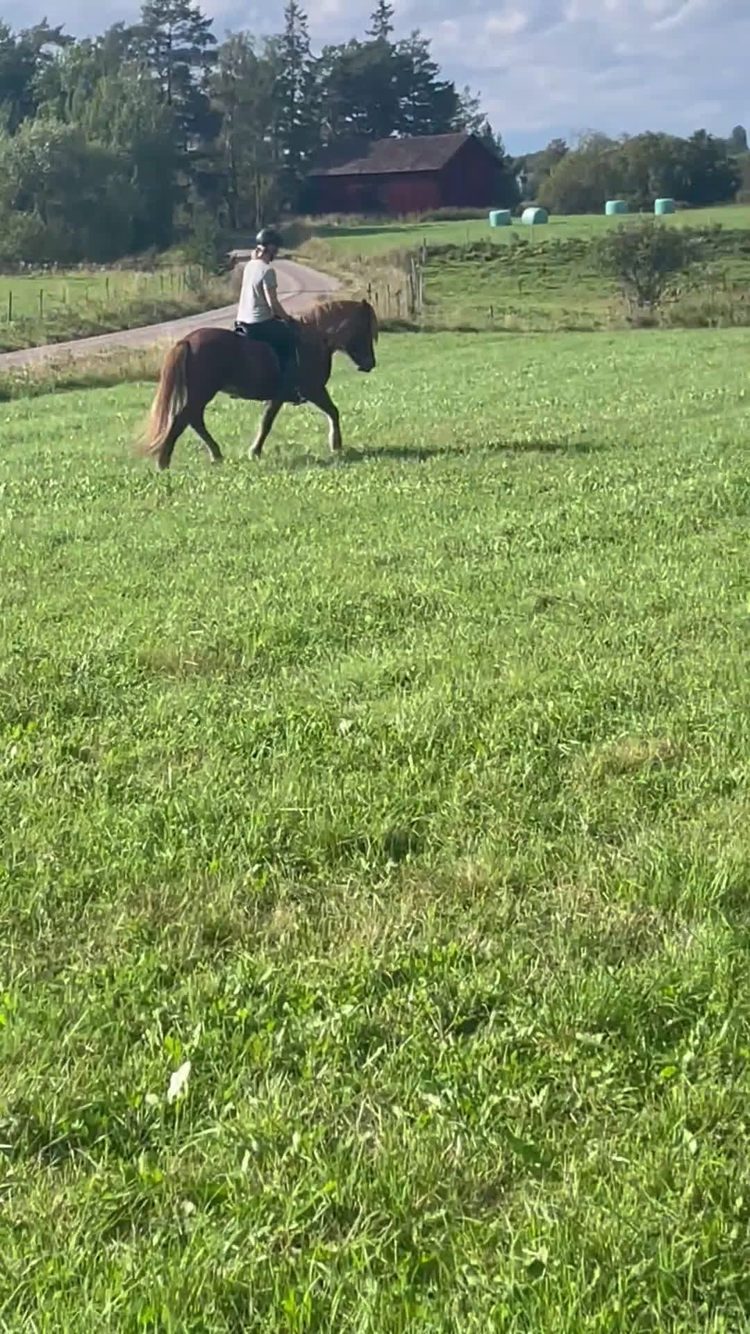 Island hästar till salu: Irma söker sin person i By Kyrkby - Video 2