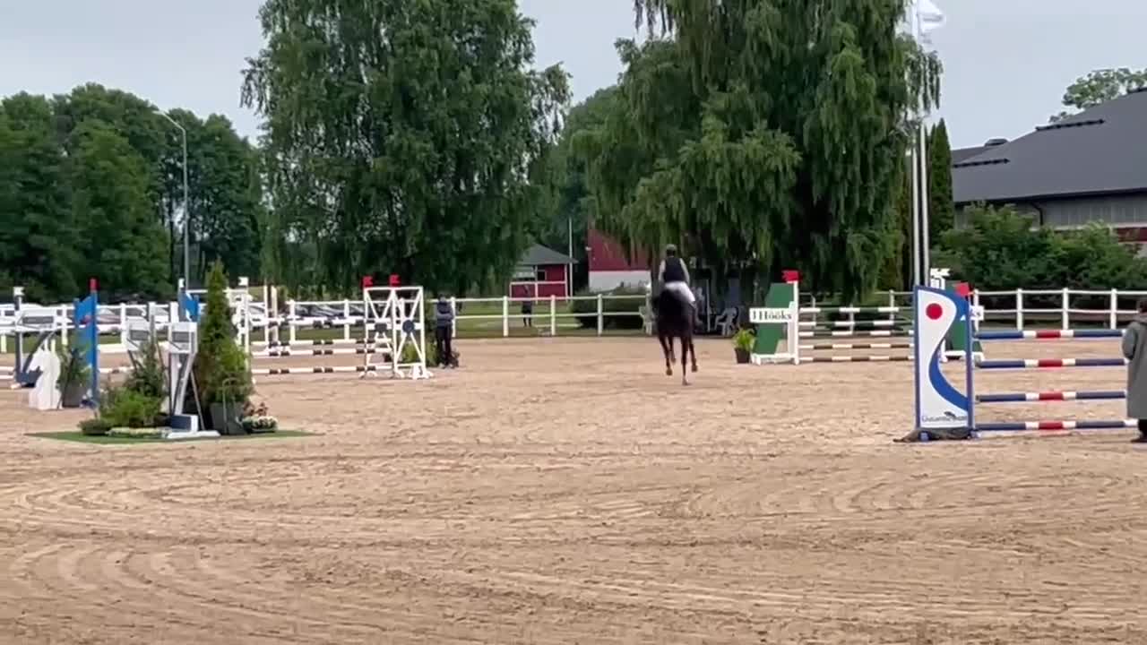 Hoppning hästar till salu: Superdiva, superstam, för dig som vill uppåt - Video 2