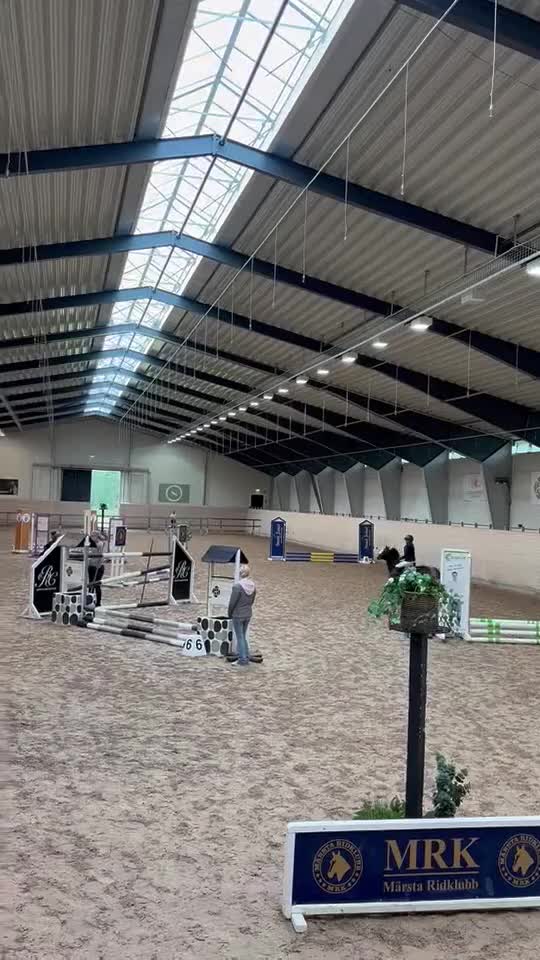Hoppning hästar till salu: Pigg och genomsnäll ponny - Video 3