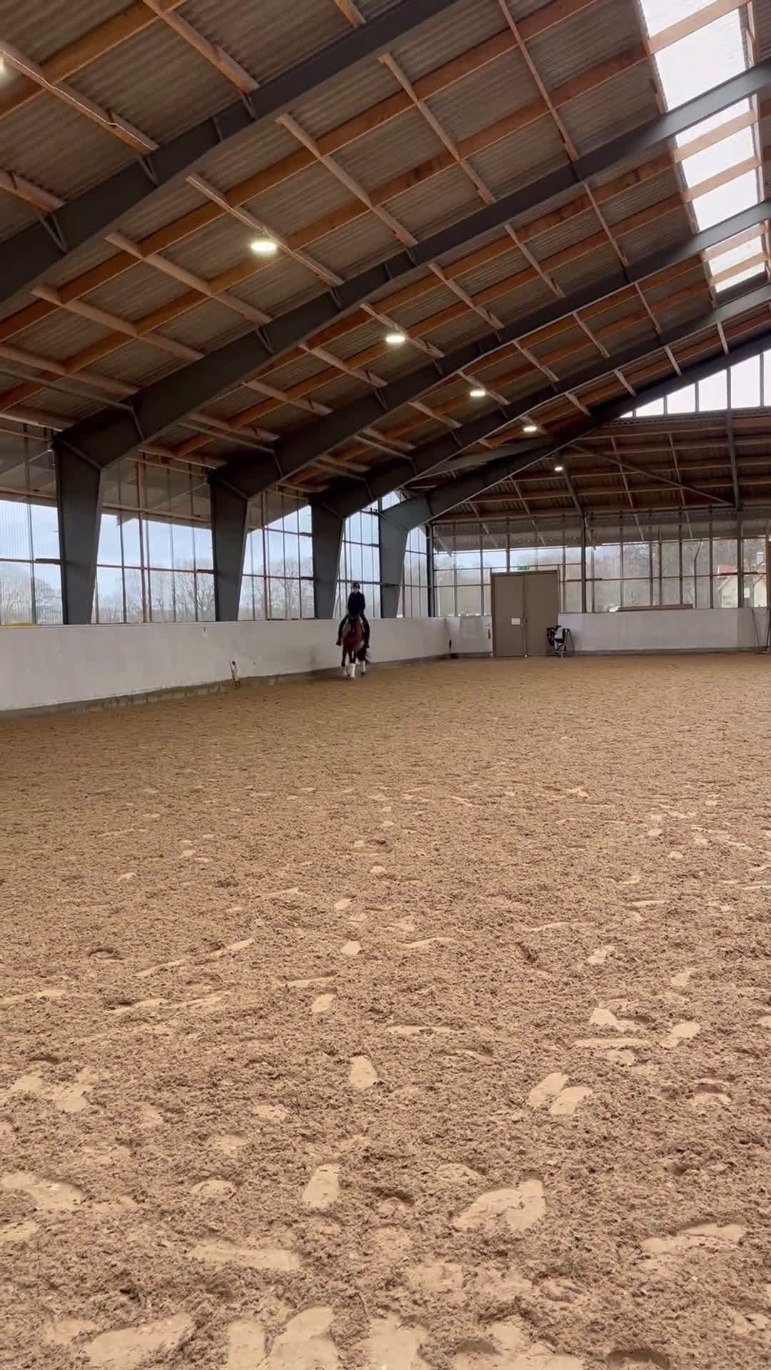 Dressyr hästar till salu: Lovande dressyrsto i Flyinge - Video 2