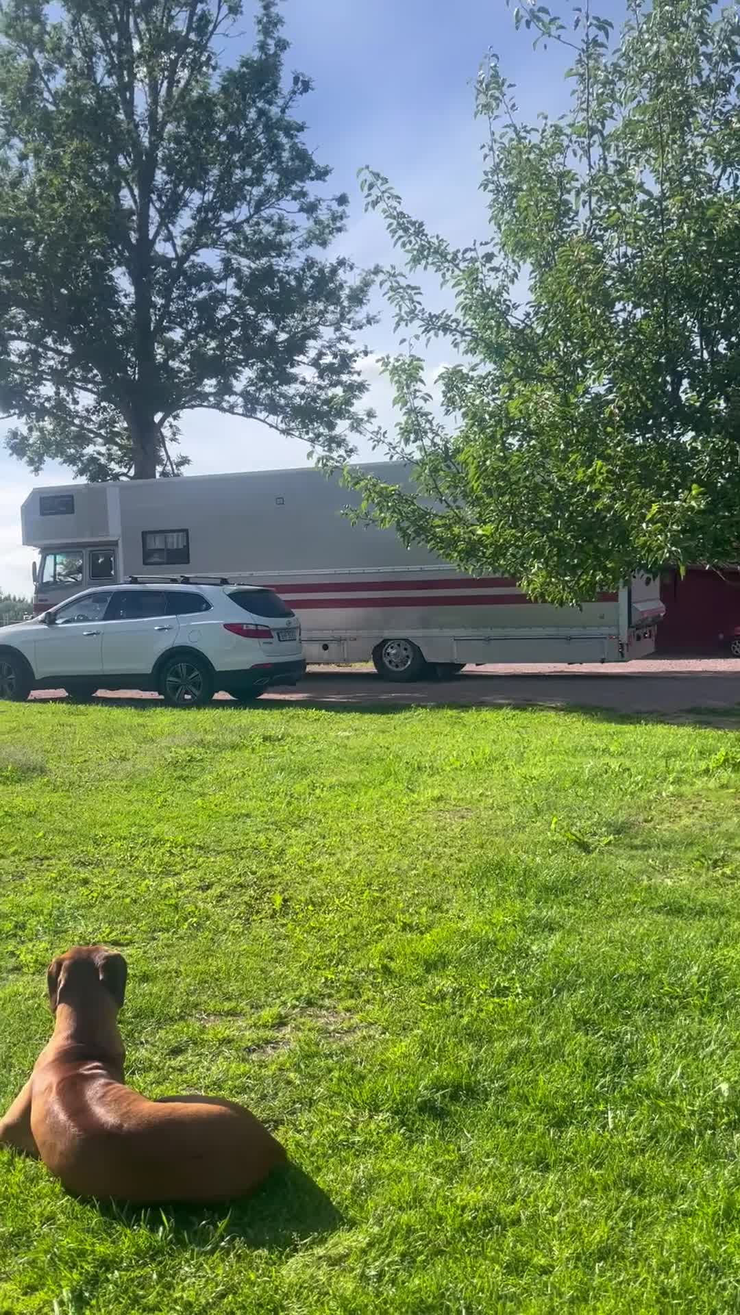 Hästlastbilar  fordon & transport till salu: En riktig trotjänare till lastbil - nybesiktigad! - Video 2