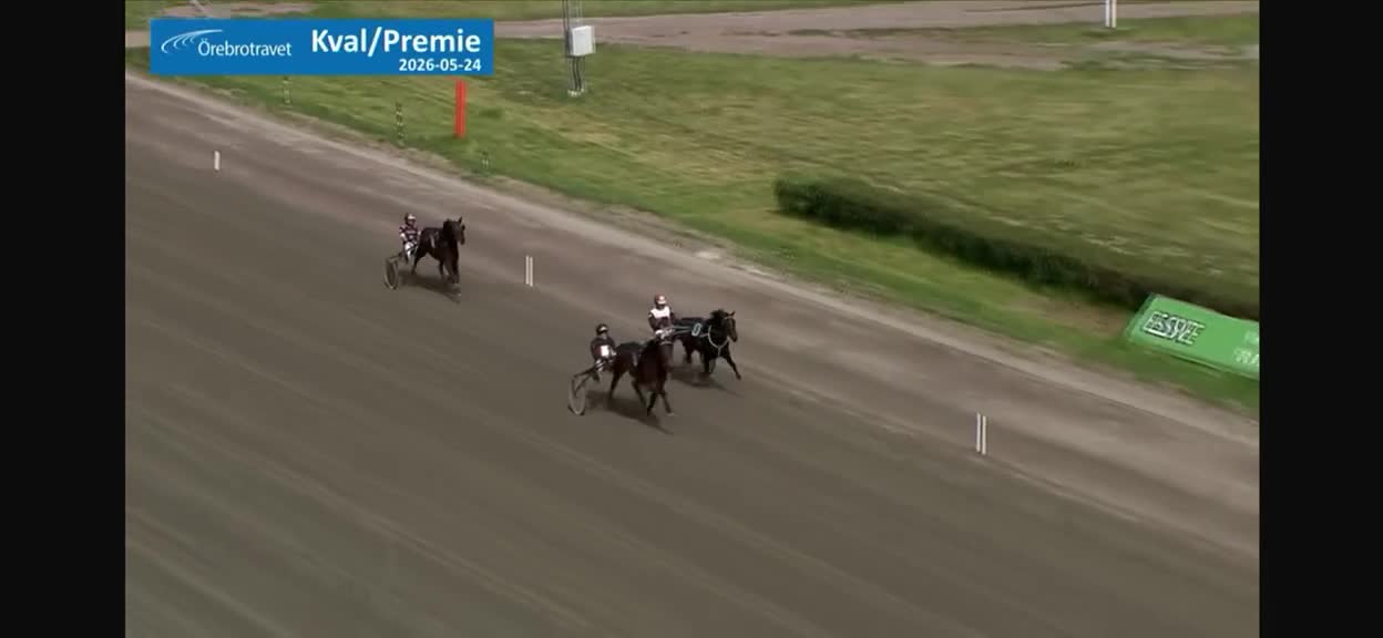 Trav hästar till salu: Fin 2-årig hingst i Örebro - Video 1