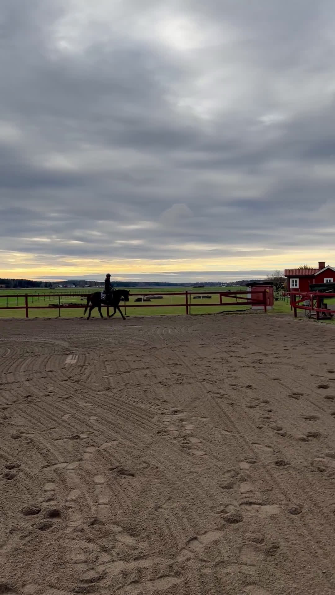 Fälttävlan hästar till salu: Atletiskt fullblodskille med fart och glöd i Enköping - Video 1