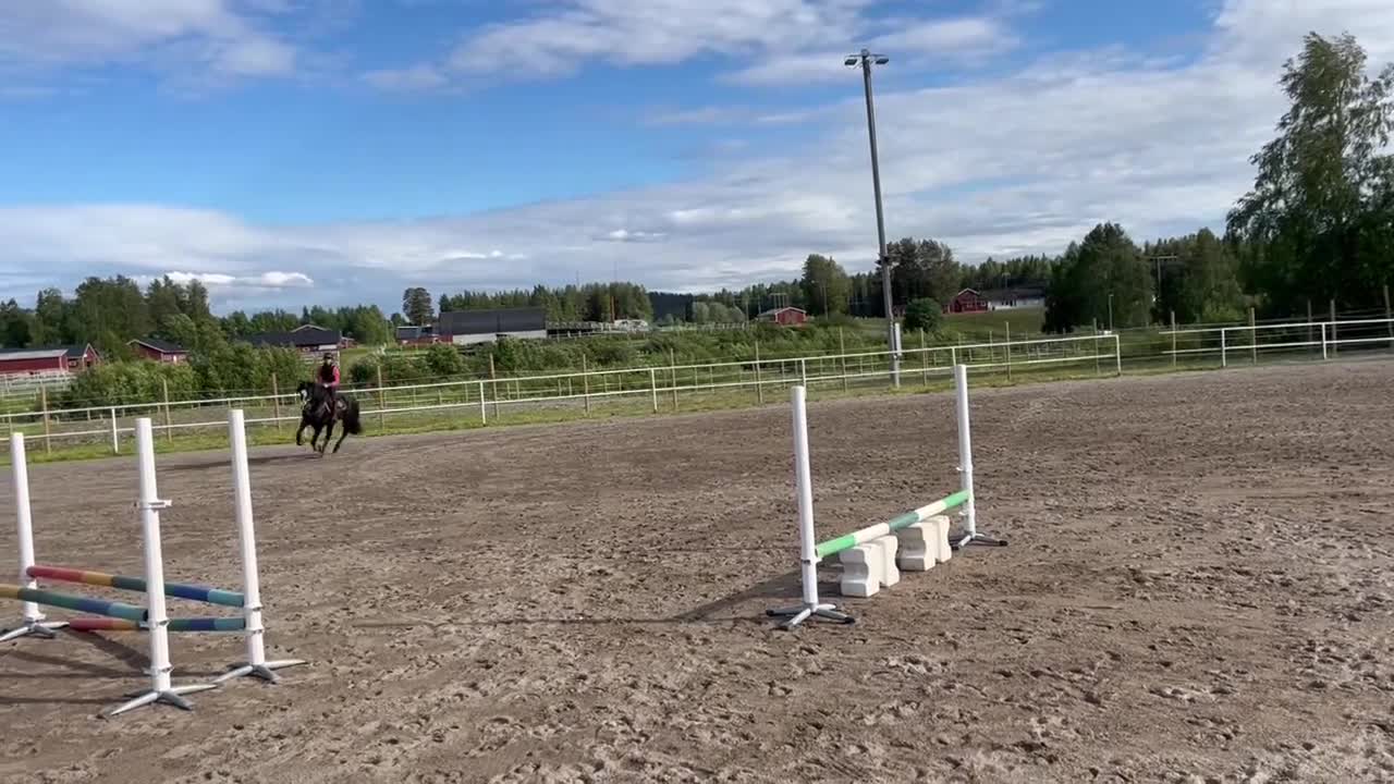 Allround hästar till salu: Fin kallblodstravare söker nytt hem🌟 i Boden - Video 2