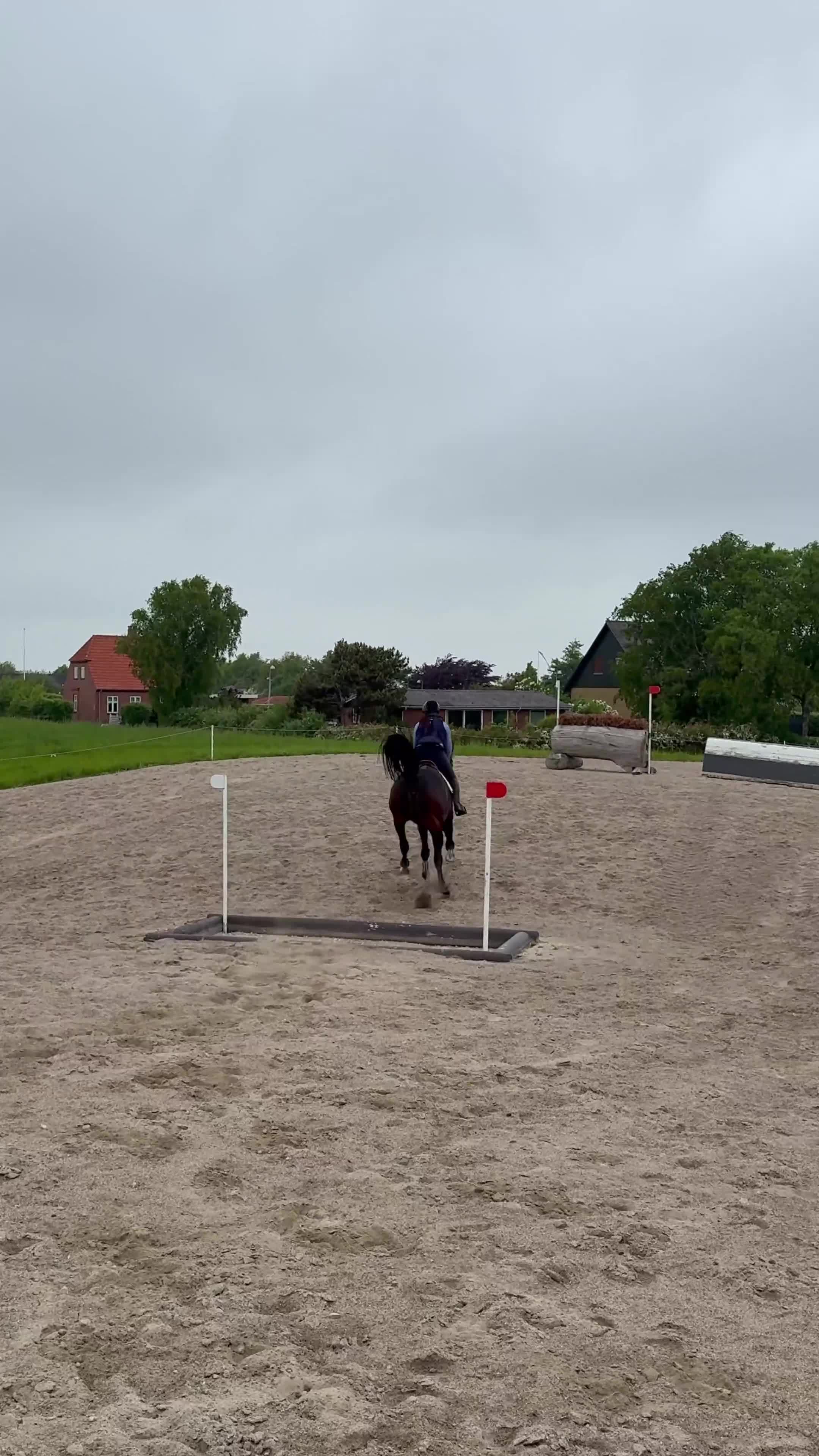 Hoppning hästar till salu: Lækker springhest og en rigtig kammeret.  - Video 2