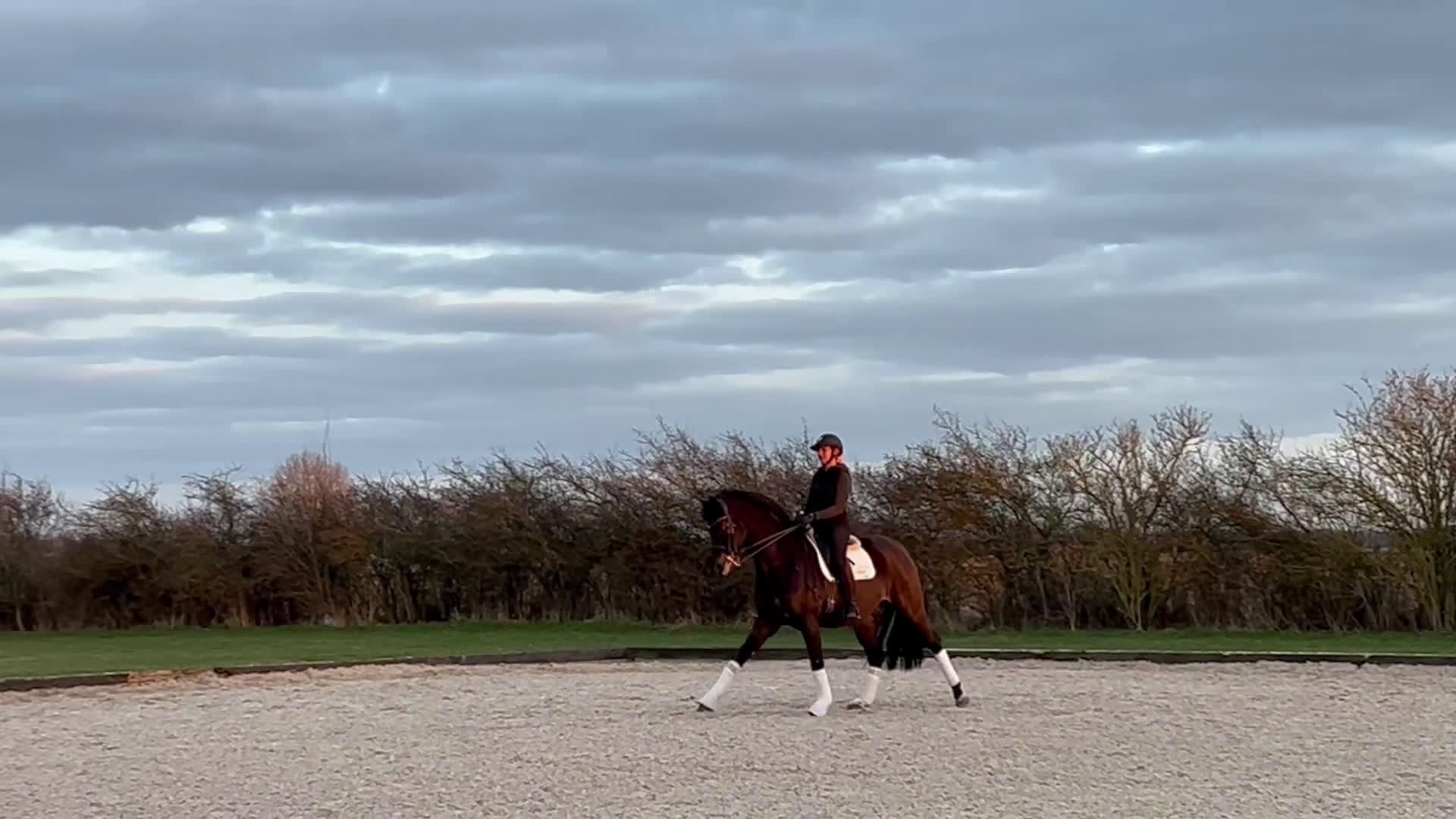 Dressyr hästar till salu: Super trevlig läromästare  i Skanör - Video 2