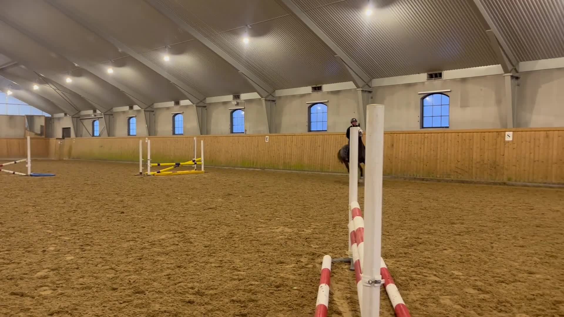 Hoppning hästar till salu: Fin hopphäst till förmånligt pris  - Video 1