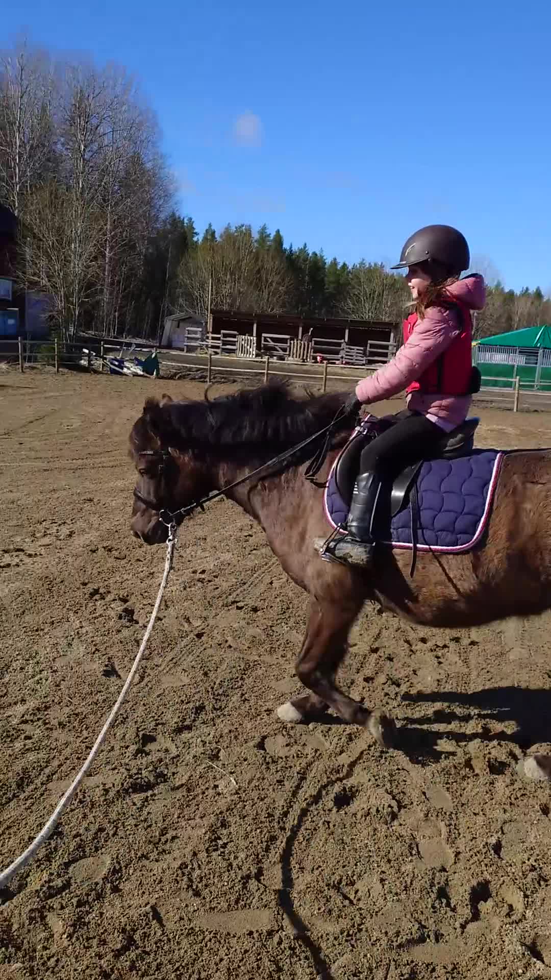 Allround hästar till salu: Guldkille säljes - Video 1