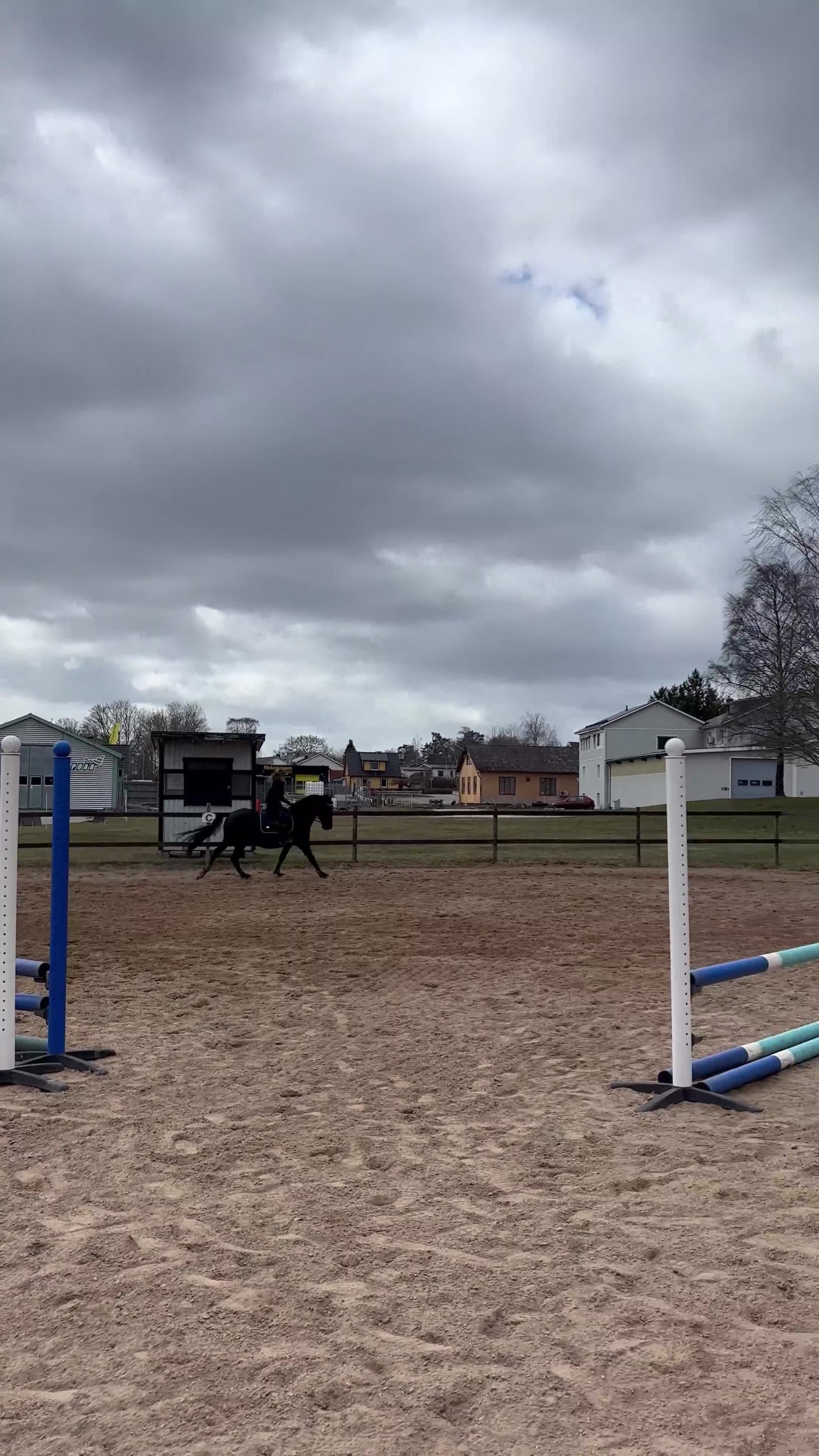 Allround hästar till salu: Fin D-ponnyvalack söker nytt hem 🤩 - Video 3