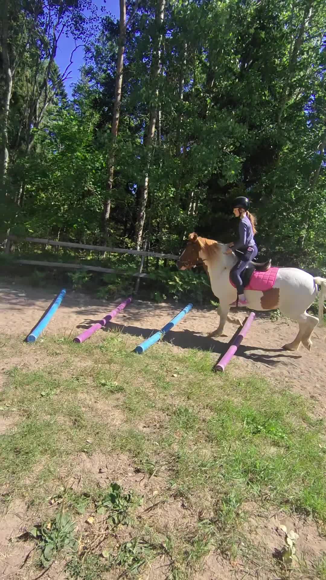 medryttarhäst finnes: Medryttare till grövre c-ponnyvalack 🐴 - Video 2