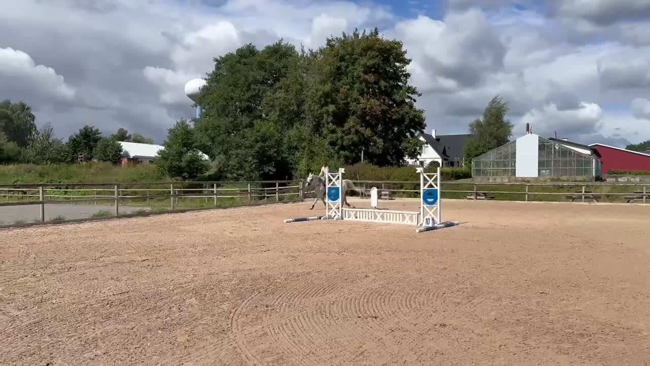 Allround hästar till salu: Bästa julklappen! i Gullabo - Video 1