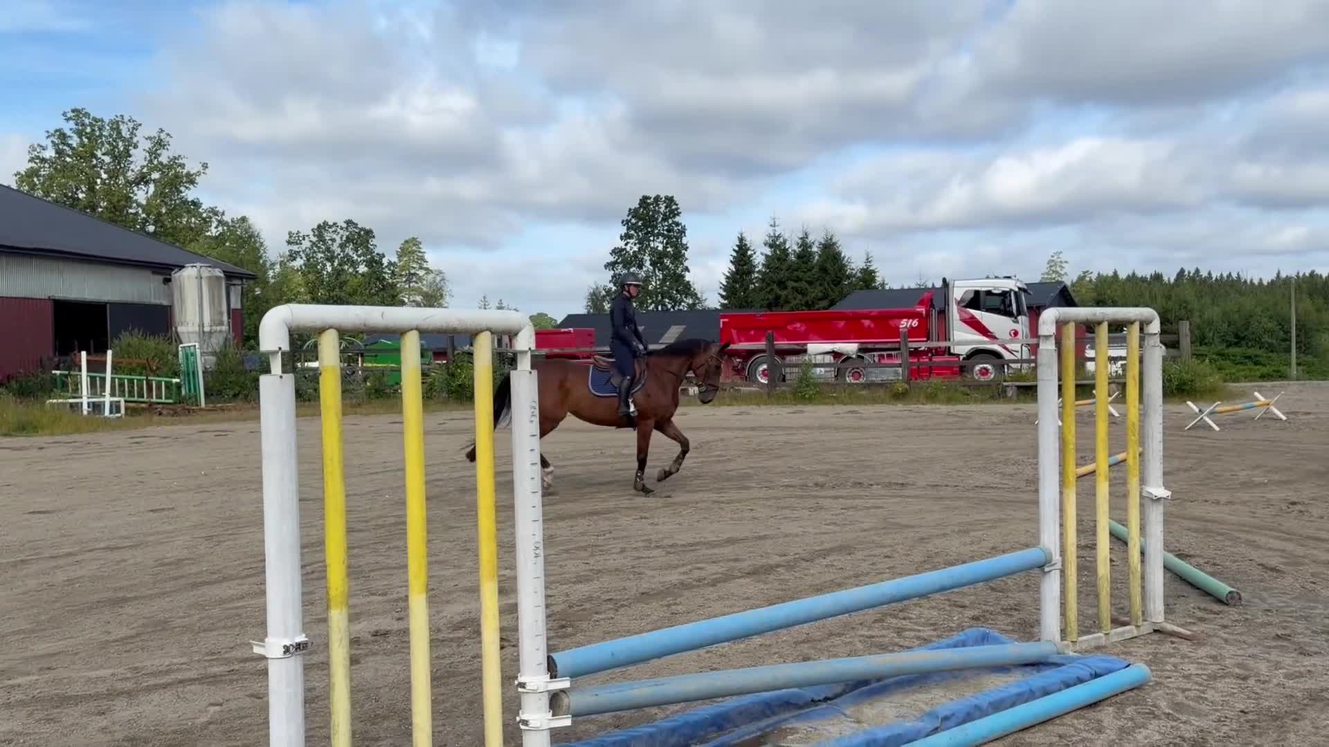 Allround hästar till salu: Underbart sto!  - Video 5