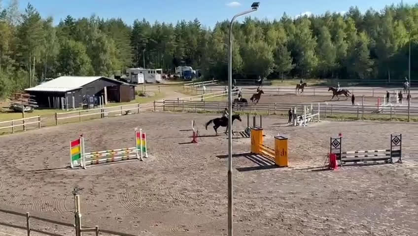 Allround hästar till salu: Härlig 5-åring  i Nässjö - Video 3